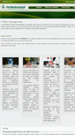 Mobile Screenshot of petroenge.com.br